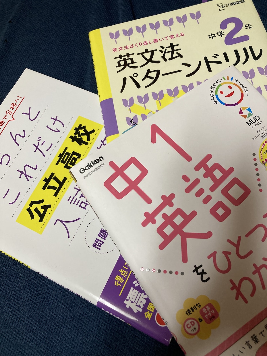 小・中学生『英語・継続レッスン』を行います ひとりひとりに合わせて、無理なく英語力を伸ばします イメージ5