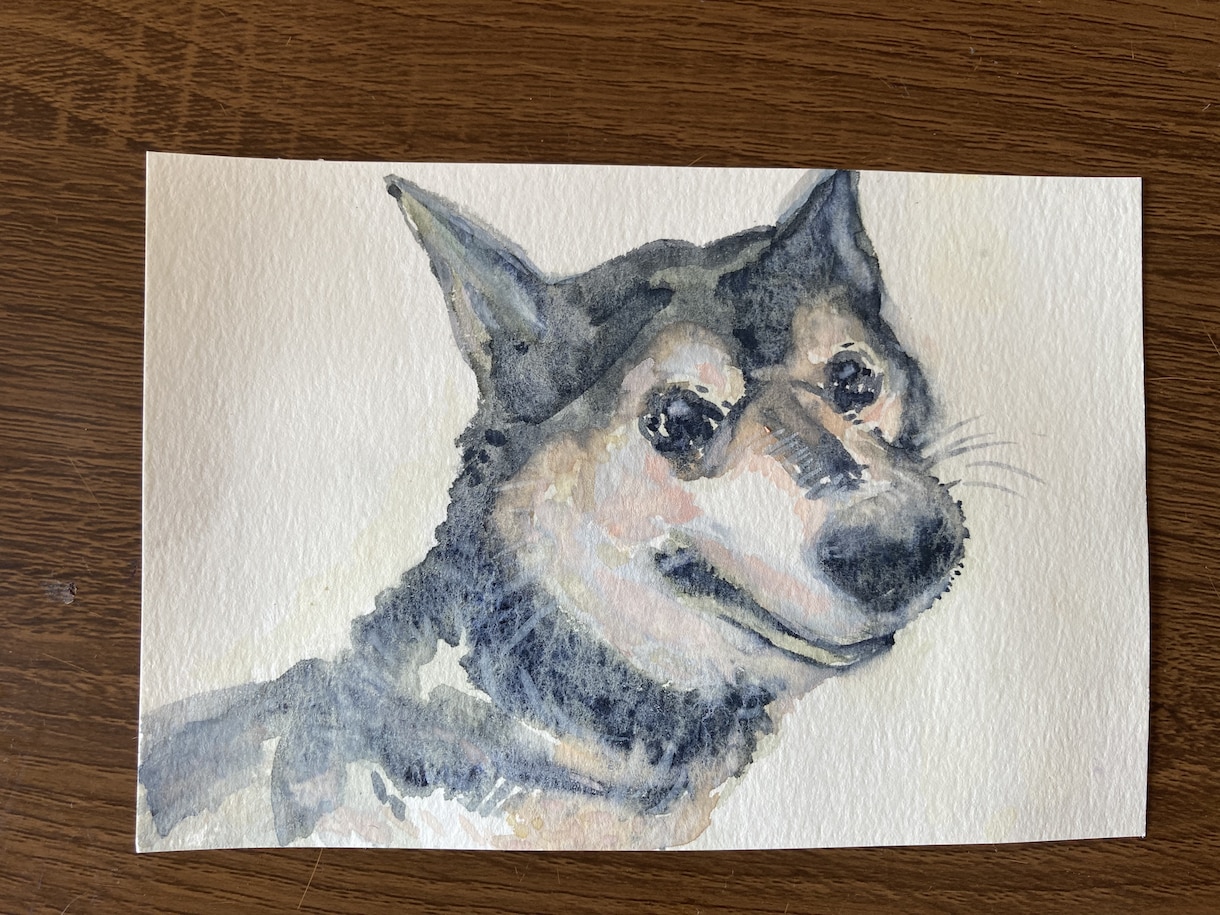 癒しの水彩思い出、心に残るペットロス似顔絵描きます 本格的　ほんわか　かわいい　癒し　ペットロス　優しい　絵本風 イメージ5