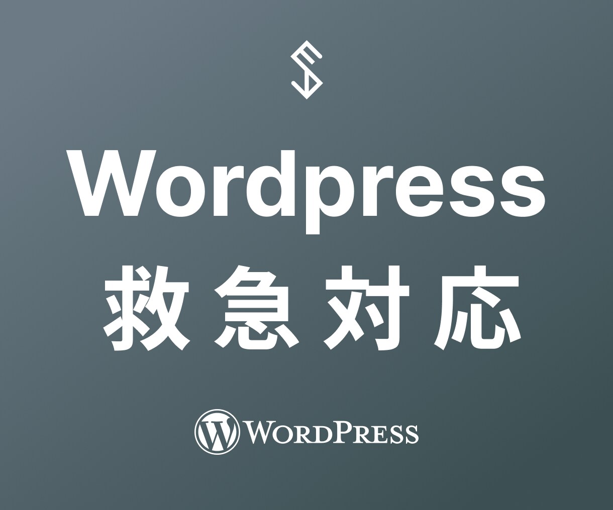 Wordpressの緊急事態に対応いたします 原因不明の不具合も、現役開発者が全力調査 イメージ1