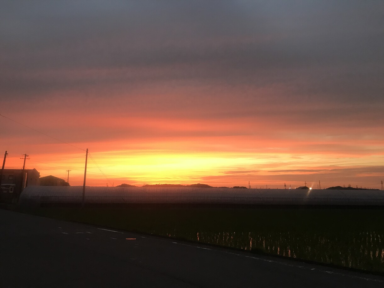 恋愛おみくじ感覚【質問3つ】YES/NOで答えます ⭐︎恋愛⭐︎貴方の潜在意識が答えを出します イメージ7