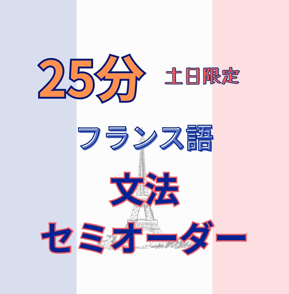 25分フランス語文法（+会話）レッスンします 仏在住お母ちゃん（仏検1級•C1）のリアルなフランス語 イメージ1
