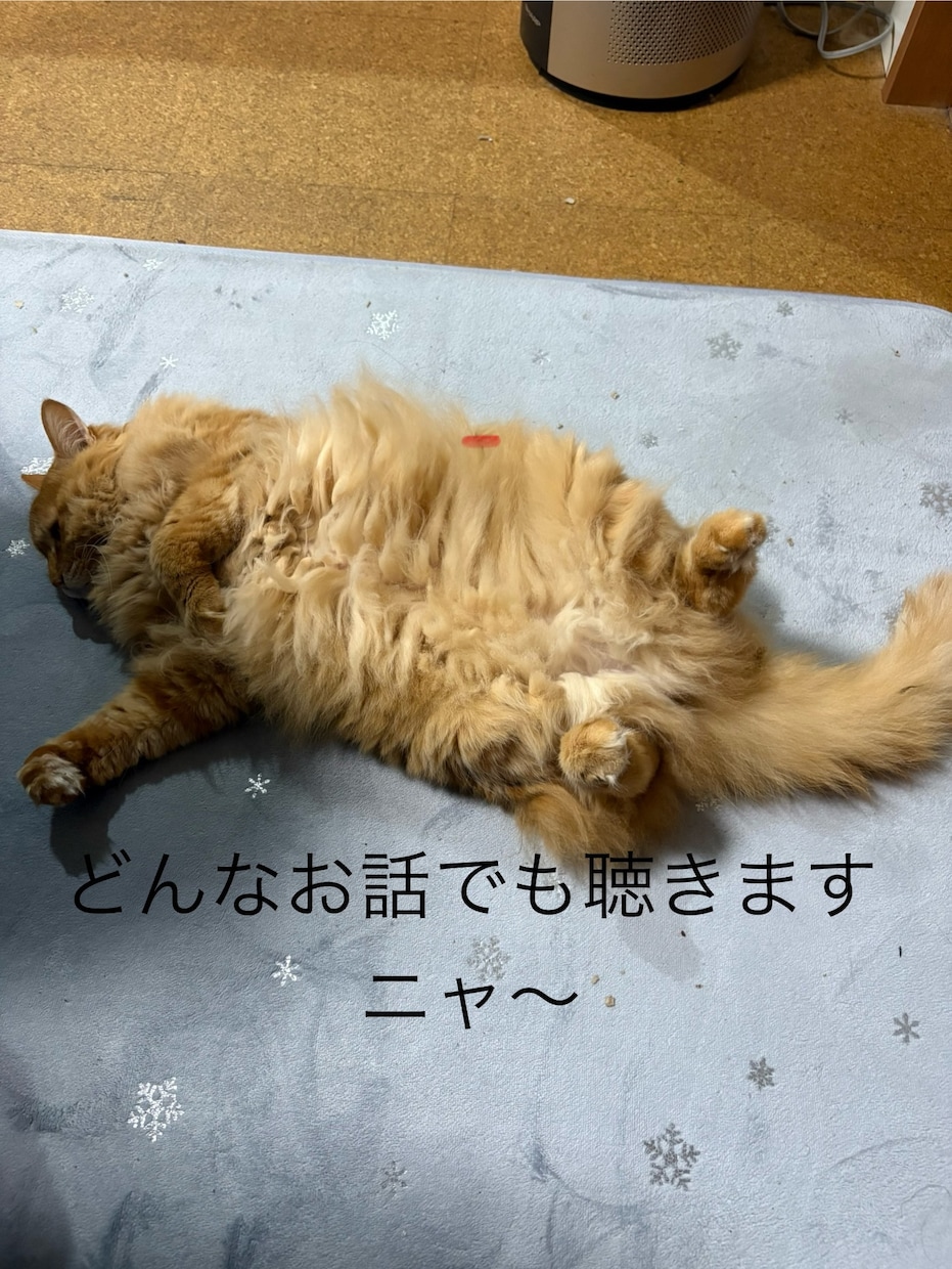 心と体の健康相談を承ります 心と体の悩みに寄り添い、安心できる時間を提供します。 イメージ1