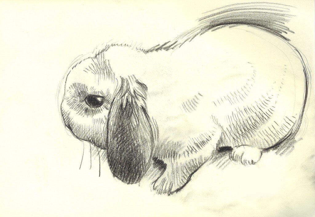 びっくりするほど本人そっくり！似顔絵制作します 思い出の記念に、人物＆ペットのイラストはどうですか。 イメージ6