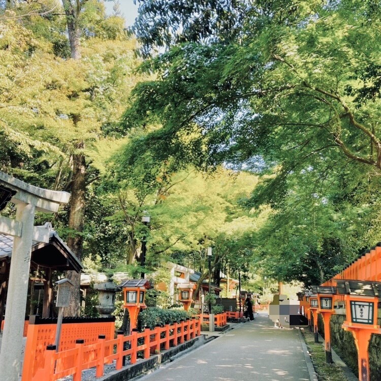 心身ともに癒される様に1分からお話聴きます アラフォー、シンママです。頑張っている方の力になります。 イメージ1
