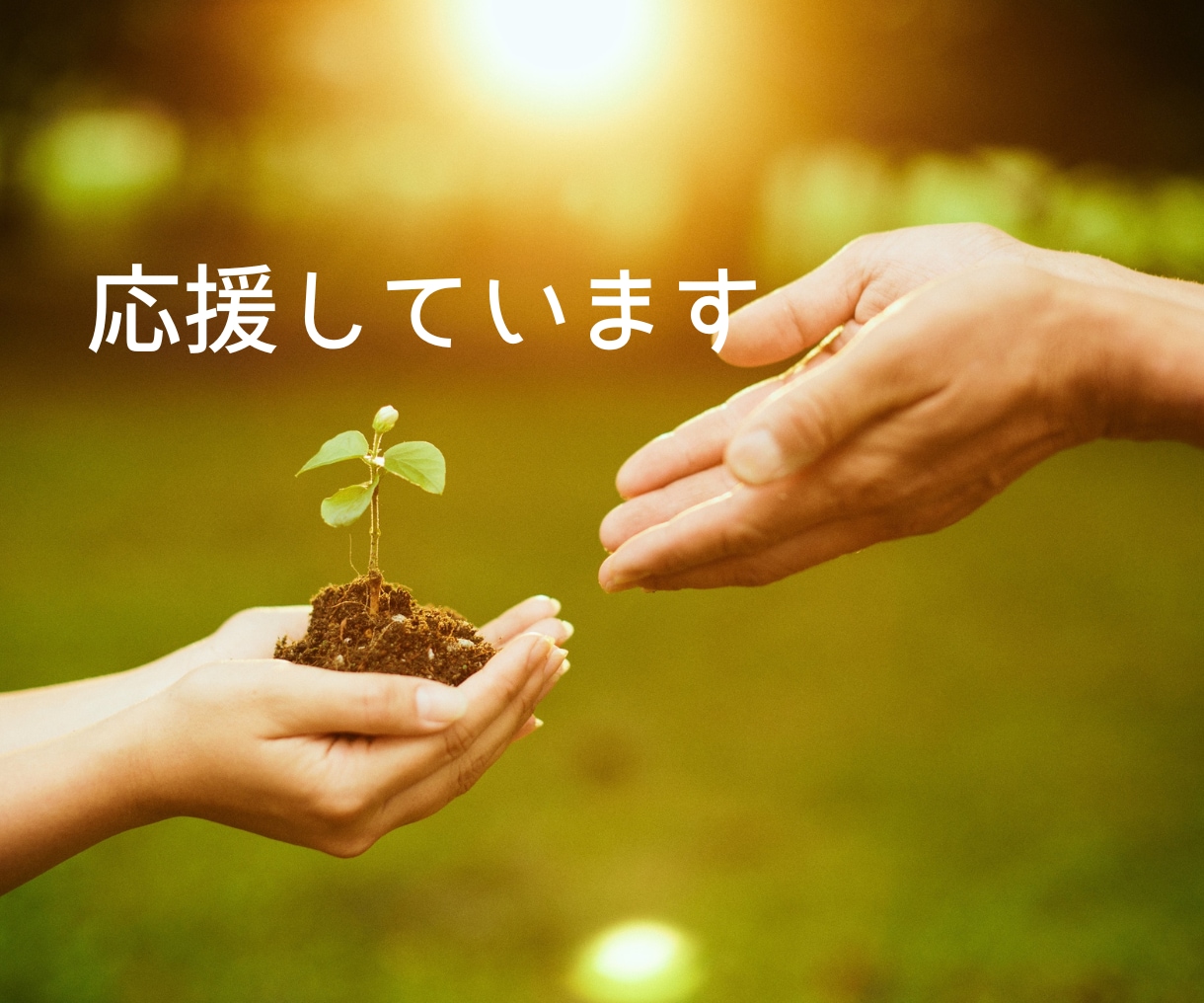 生きづらくしている潜在意識のブロック解除をします 不安、怒り、悲しみ、思い込みを書き換えて本来のあなたを生きる イメージ10