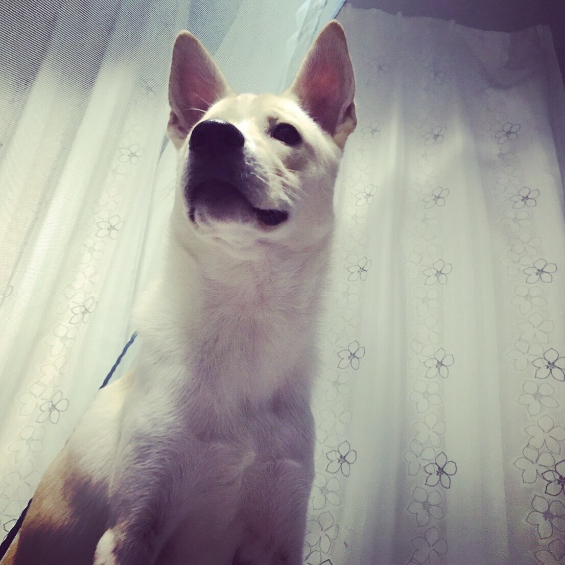 恋愛、仕事、人生相談なんでも聞きます 身近な人に言えない誰でもいいから聞いて欲しい方にオススメ！ イメージ1
