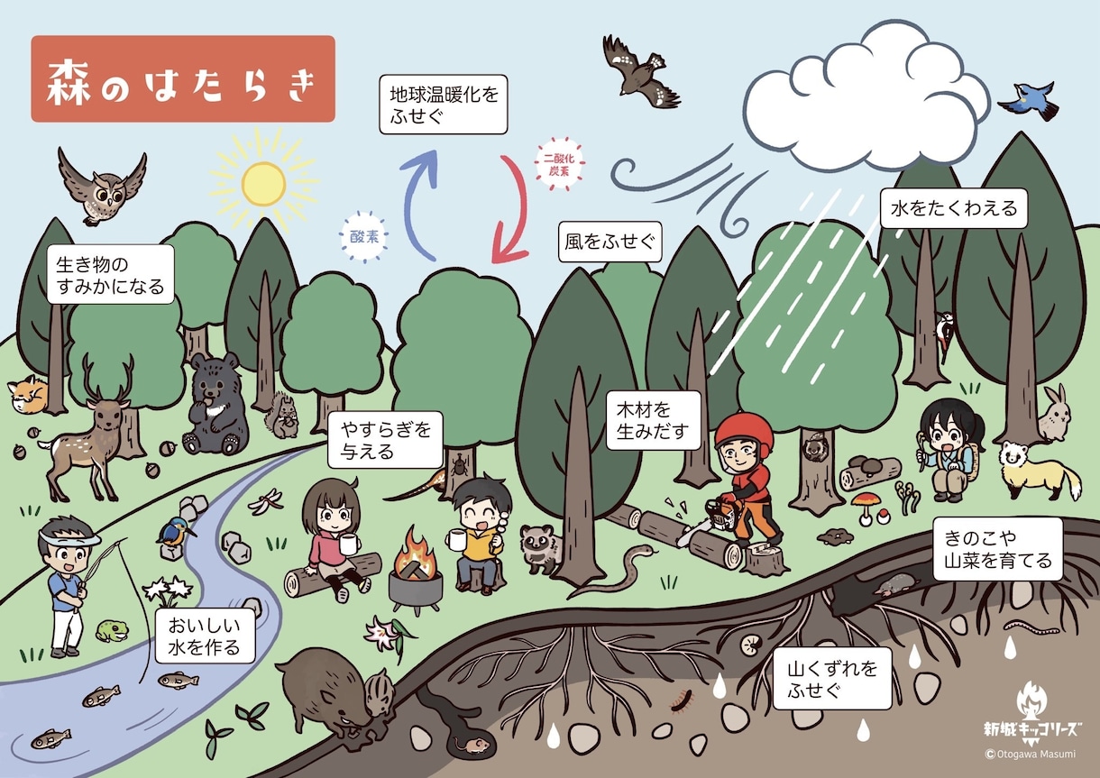 自然教室や森林学習向けのパンフレットを作成します かわいいイラストで楽しく学ぼう！ イメージ2
