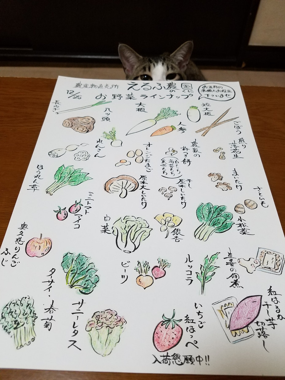 メニュー書きます 手書きのあたたかさが伝わる作品にします イメージ5