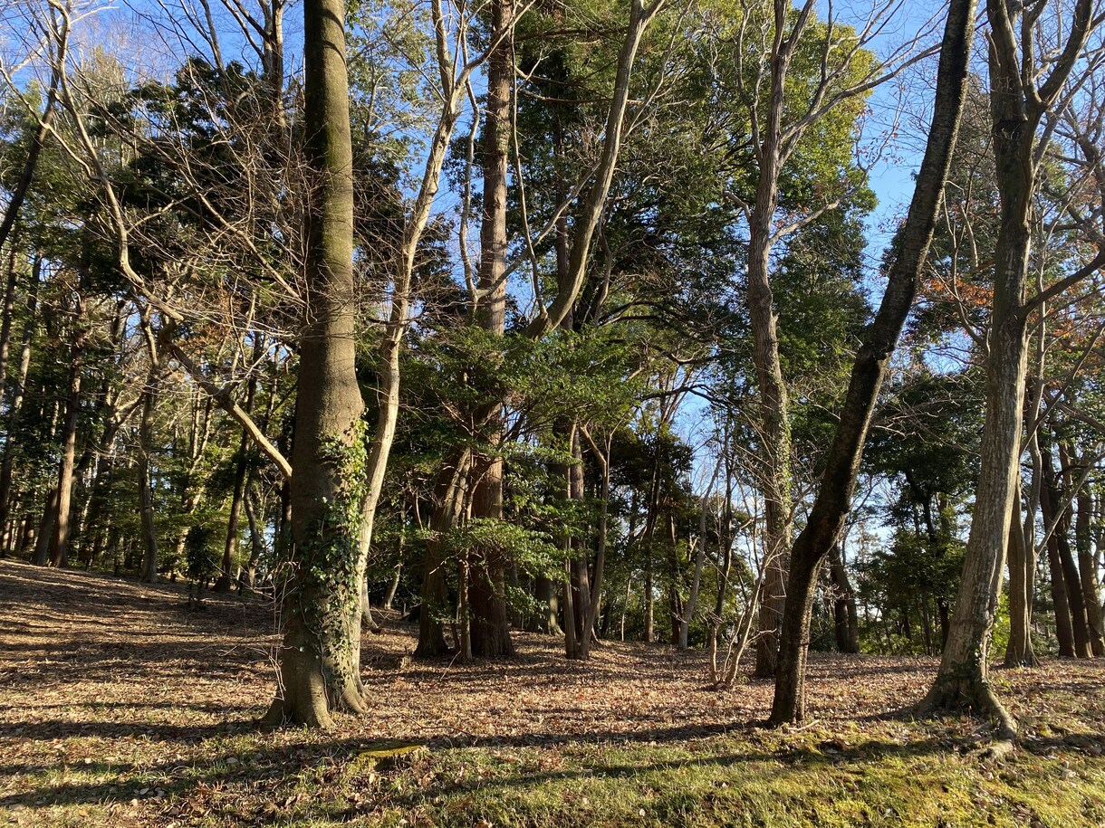 自然のお写真を提供します ふと立ち止まって見えた景色を撮っています イメージ3