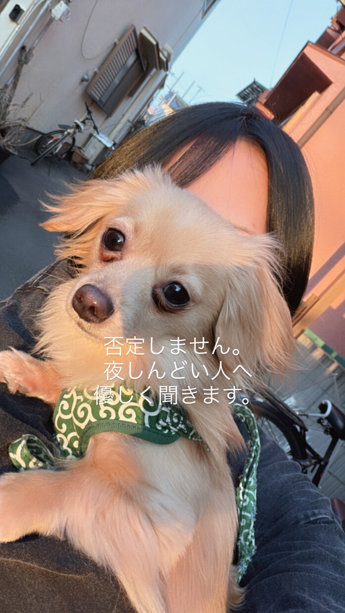 恋愛でしんどい人、否定せず優しく電話でききます 誰にも言えない恋愛の悩み聴きます重い話でも大丈夫です！ イメージ1