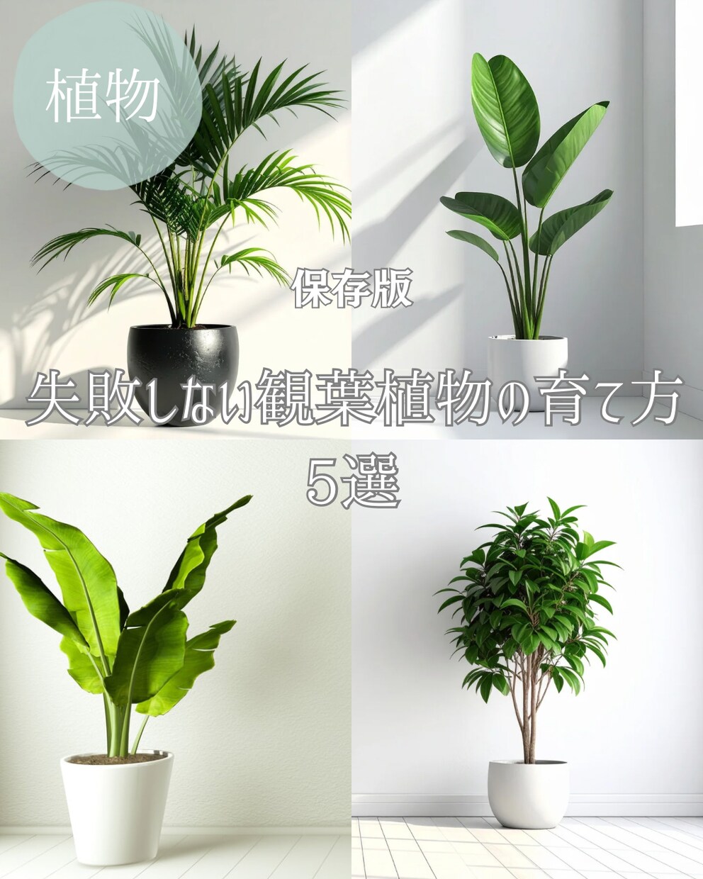 Instagramの投稿・図解画像を制作します 世界観に合わせた大人可愛い・オシャレなデザインをお届けします イメージ1