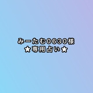 顧客様占います ★専用出品なので他の方はお控えください イメージ1