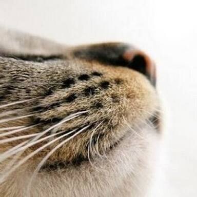    【激辛回答注意！】男性の気持ちをズバリ答えます。※占いではありません イメージ1