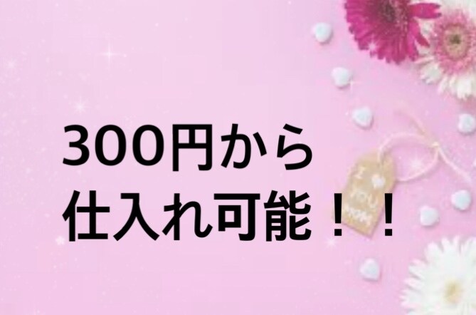 完全在宅での古着転売教えます 在宅副業！レディースアパレル電脳(ネット)仕入れマニュアル！ イメージ10