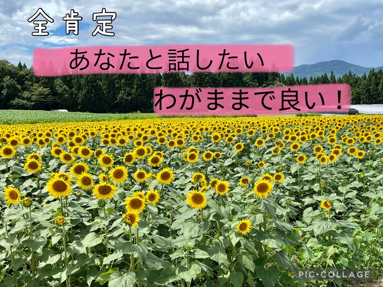 1分だけでもお話し聞きます うまく話せなくても大丈夫✩.*誰かと繋がりたい貴方へ‧⁺ ⊹ イメージ1