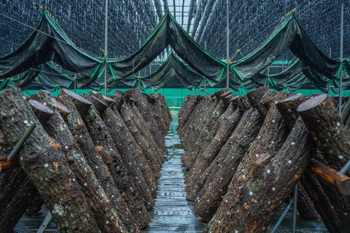 九州圏内で動画・写真撮影承りまます 「HP・LP用」など動画・写真撮影をします イメージ3