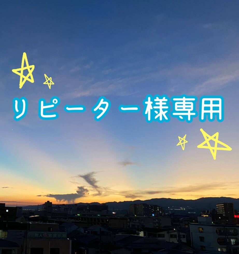 以前にご利用していただいたリピーター様用となります 私のサービスをご購入くださったことがある方専用です。 イメージ1