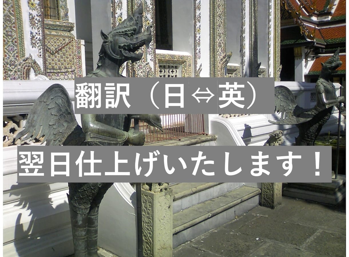 ビジネス・医歯薬・一般翻訳(日⇔英)翌日納品します 大手企業での翻訳歴10年!お急ぎの翻訳案件に対応いたします! イメージ1