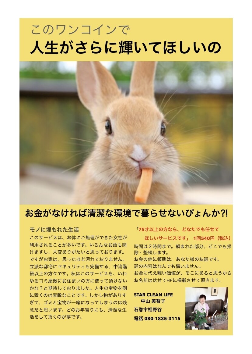 チラシデザイン承ります 見るとウキウキしたり、心打たれるデザインを心がけています。 イメージ3