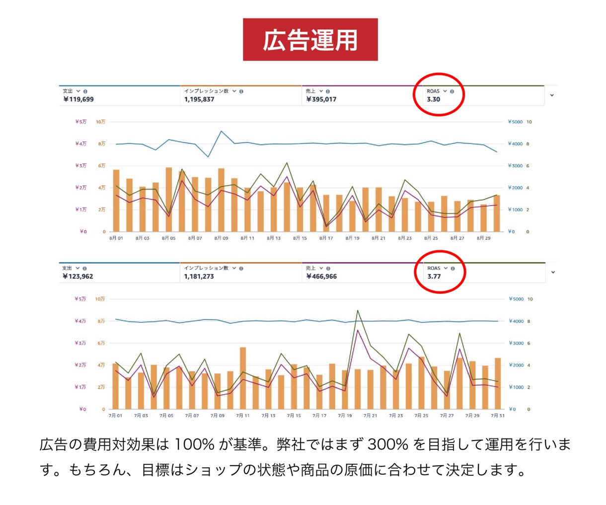 ECのプロがアマゾン/楽天を“戦略的に”運営します 実績多数◎データ分析で課題が見える！PDCA運用代行 イメージ7