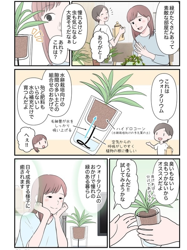 優しい絵柄で、分かりやすく伝わる漫画をお描きします 行政、医療、大手企業など実績豊富！似顔絵対応やシナリオ考案も イメージ6