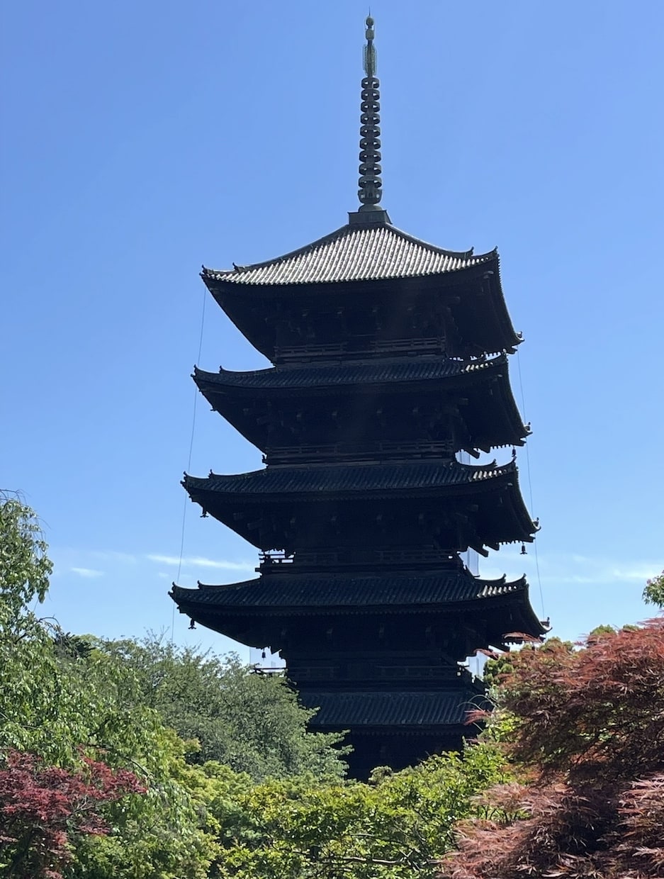 関西発あなたを元気にします なんでも聞いてや一緒に喋ろな笑おな待ってまっせ毎度おおきに。 イメージ9