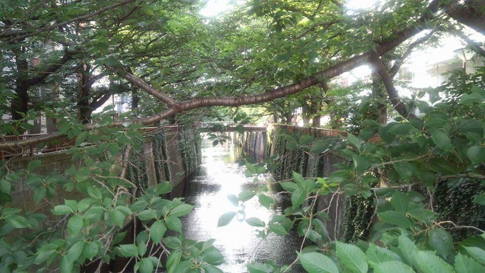 今のお悩みに対して各部屋のお部屋アドバイスします 部屋の模様替えなどで風水を利用して開運したいあなたへ イメージ1
