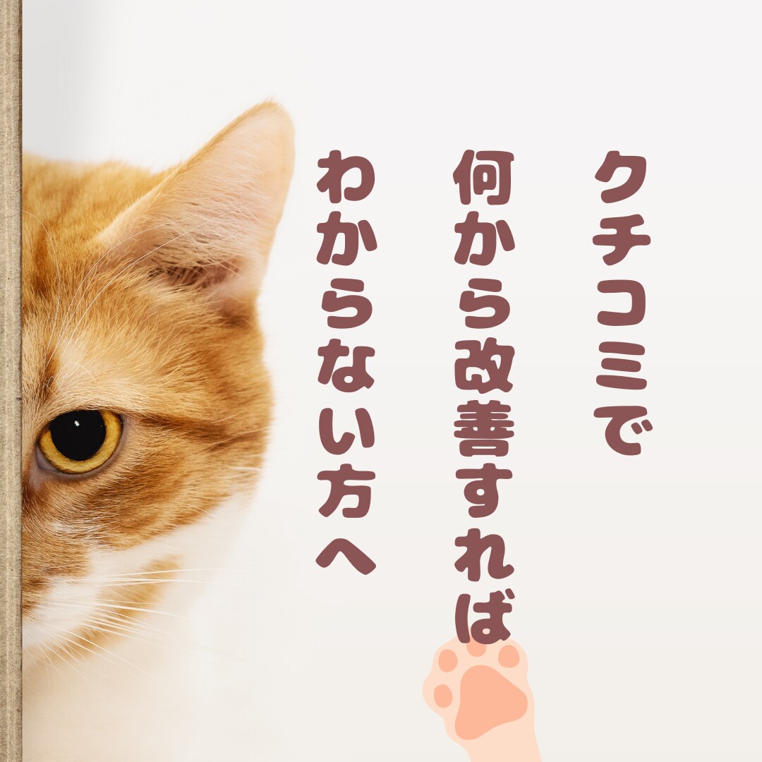 アワード受賞経験者が覆面宿泊！改善点レポートします 宿の魅力を最大化しませんか？クチコミ点数UPしたい方へ イメージ5