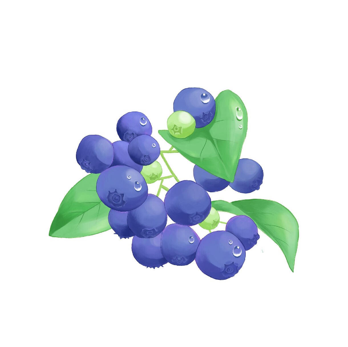 食べ物や植物の素材イラストを描きます フードメニューや商品成分をやさしいタッチにしたい時 イメージ3