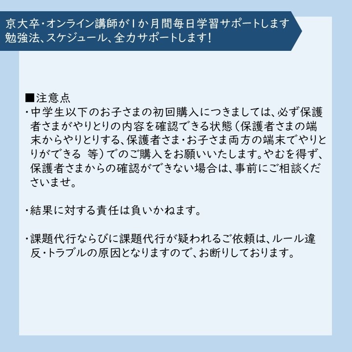 京大卒オンライン講師が1か月毎週学習サポートします 勉強法、スケジュール、全力サポートします！ イメージ6