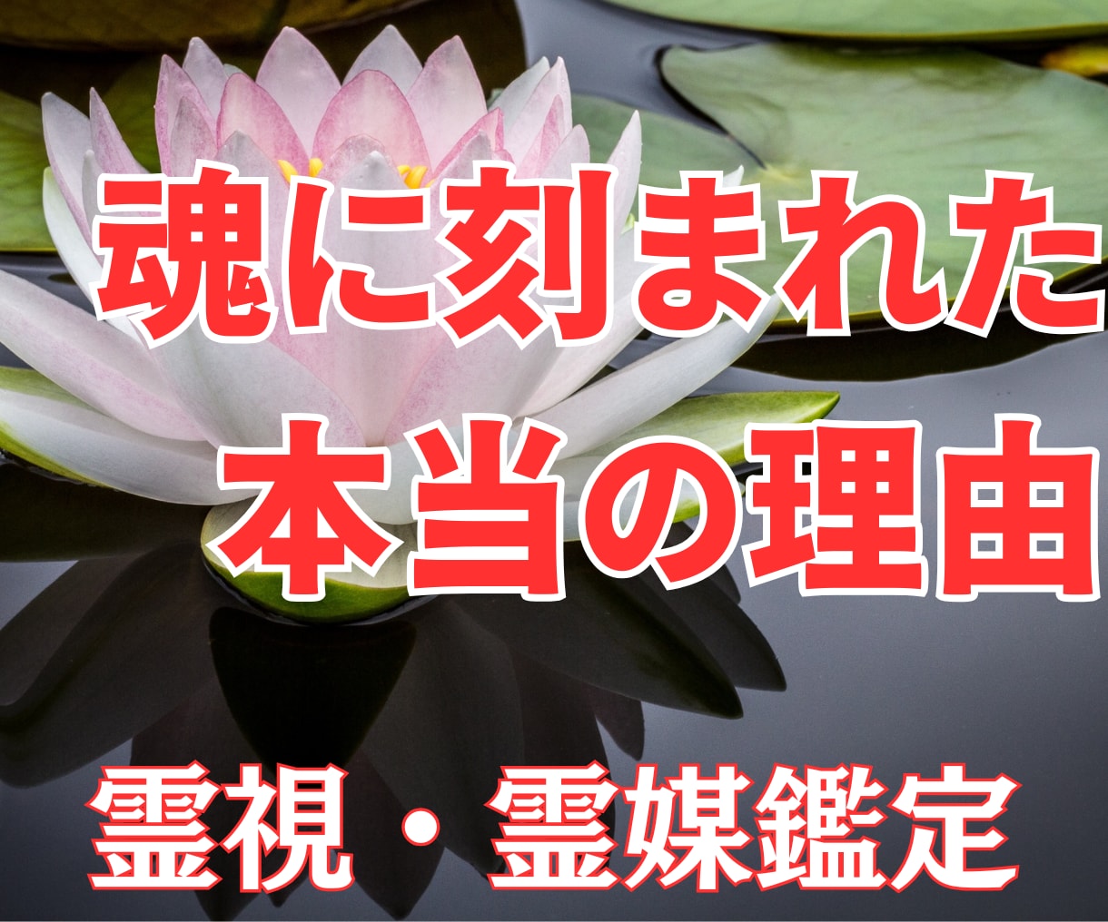 悩みの本当の理由☆魂に刻まれた記憶にアクセスします 霊視・霊媒鑑定☆高次元からのメッセージ☆全て知りたいですか？ イメージ1