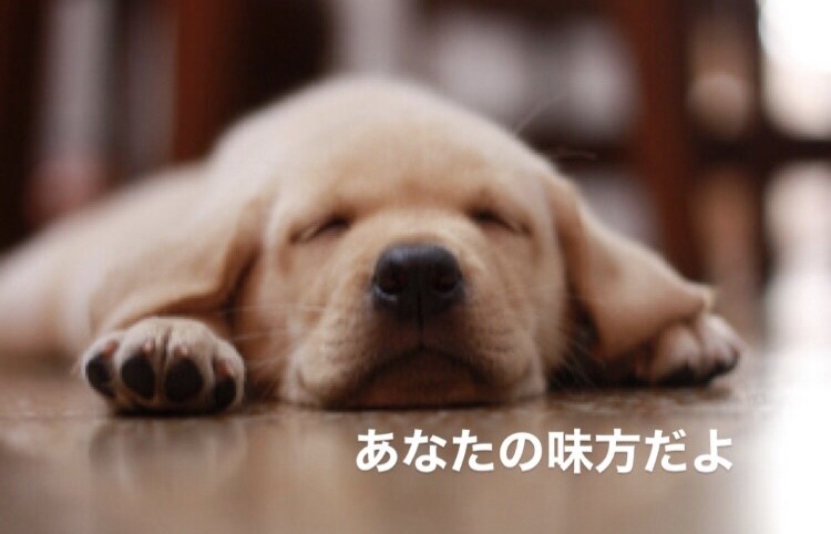 友達感覚☆どんな話でも聞いちゃいます もやもやしてる人！とにかく暇な人も！話すだけで楽になれます♪ イメージ3