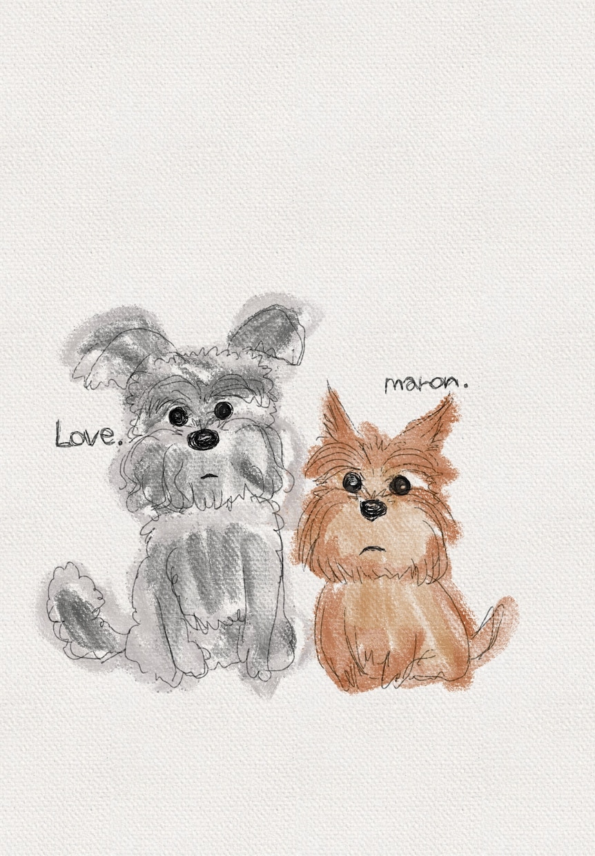 愛犬のイラスト作成受付してます 私の画力範囲での動物受付可能です。 イメージ1