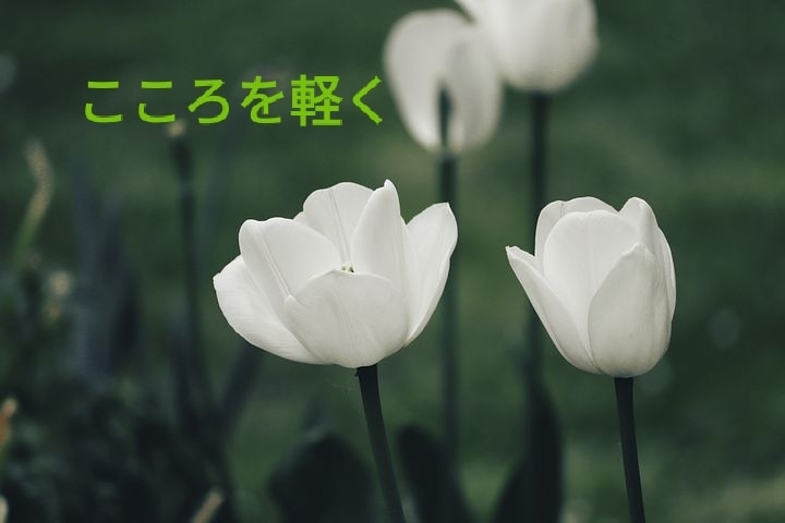 心のモヤモヤ、不安すべて受けとめます 現代はストレス社会。キモチが上がらない。未来が見えない。 イメージ2