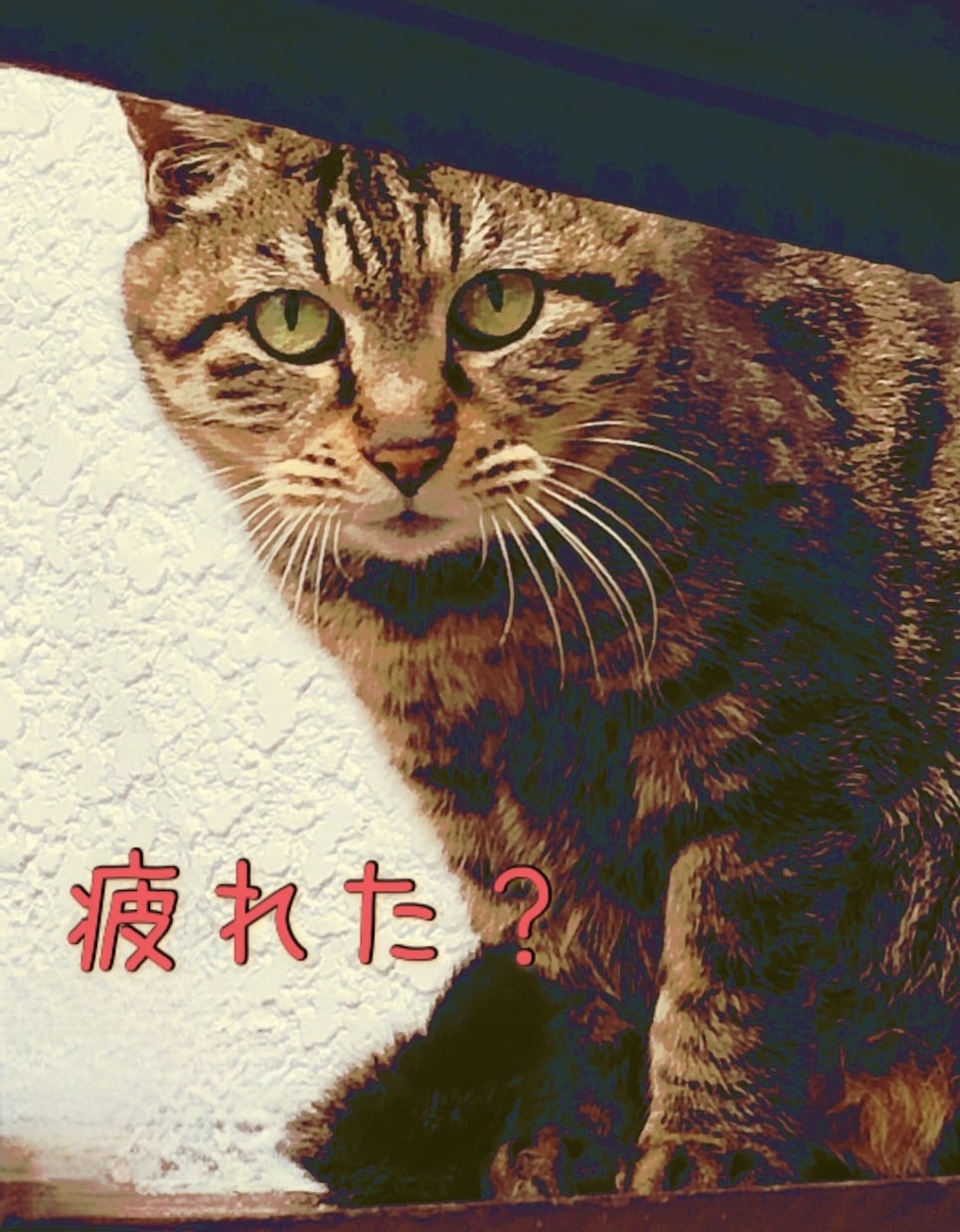 お姉ちゃんとして話聞きます 24時間どうでもいい事をポツポツとLINEみたいに イメージ1