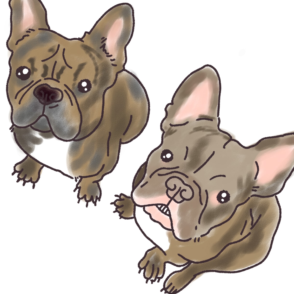 ゆるかわほっこりかわいいペットのイラスト描きます バラバラの写真からぎゅっと集まった1枚のイラストに。 イメージ8