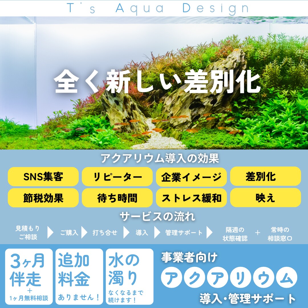 事業所へのアクアリウム導入･管理をサポートします 水中環境の安定まで3ヶ月伴走＆追加料金無しで安心です！ イメージ1