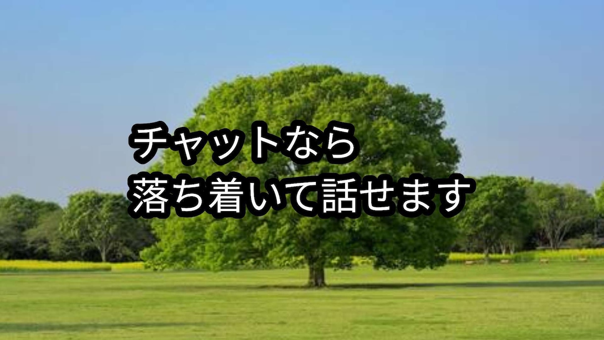 電話が苦手な方とお話しをします パートナーへの悩み。チャットなら安心して話せます。 イメージ1