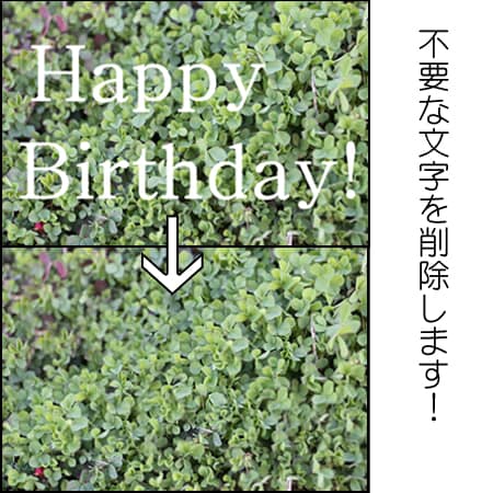 不要物削除！消してほしいものを画像から消します 文字や写り込んでしまった不要物を削除させて頂きます！ イメージ1