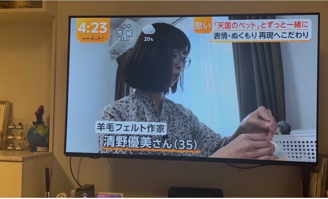 フジTVイット！出演・羊毛フェルトのペット作ります ペットちゃんとの思い出やご家族の想いもお人形に込めます イメージ9
