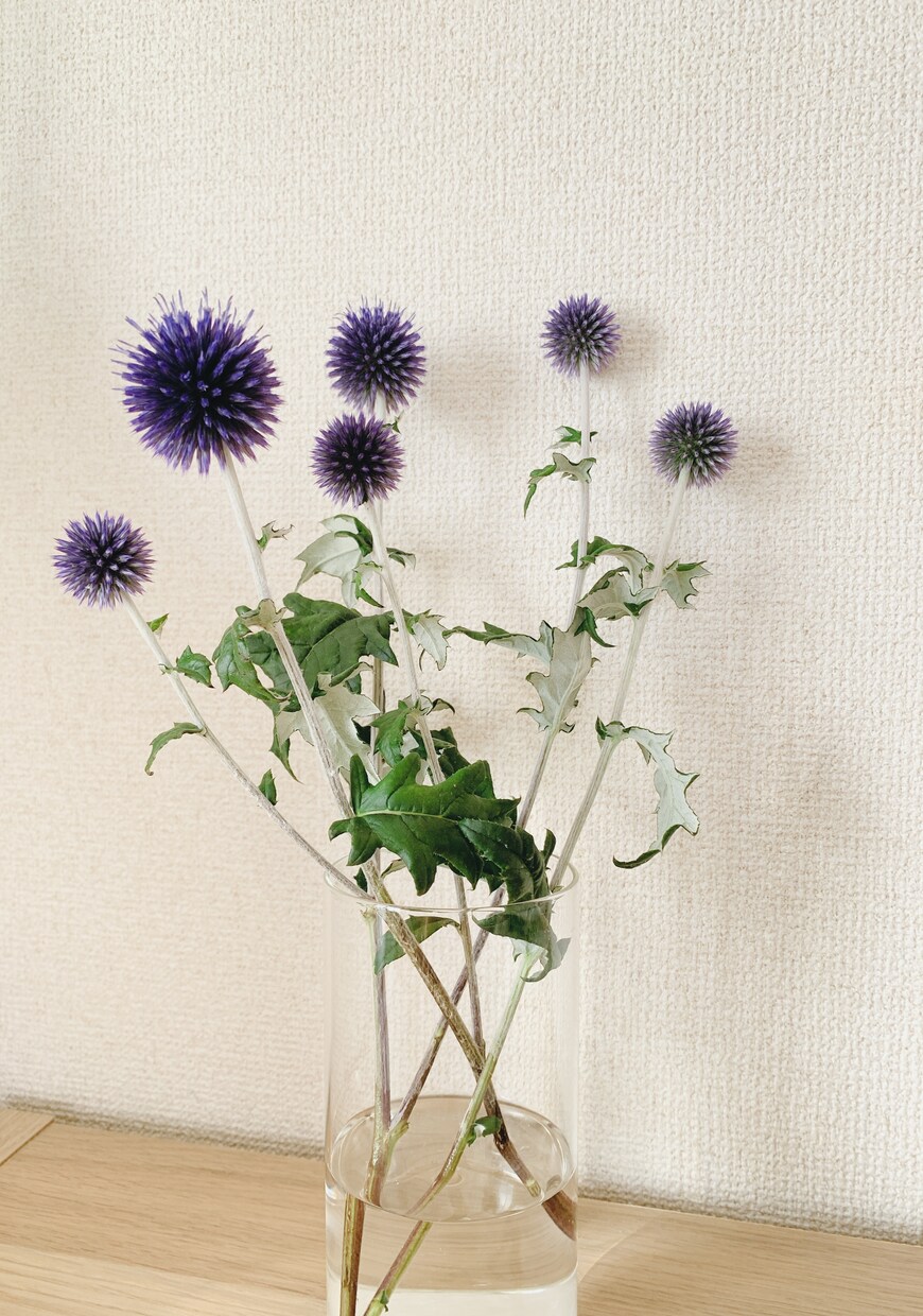 高齢者の食事の悩み、相談のります 嚥下機能や、栄養状態に合わせた食事を一緒に考えます。 イメージ1