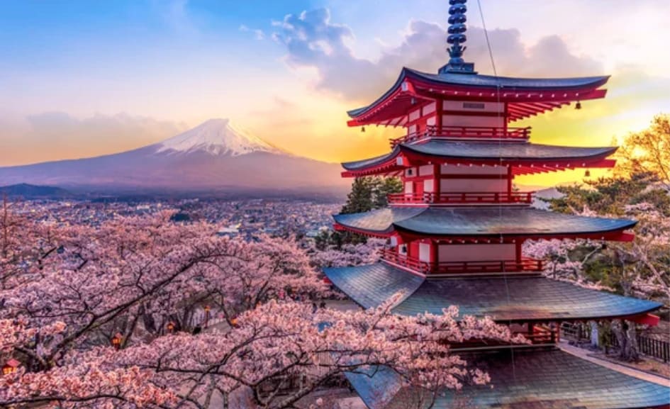 あなたの産土(うぶすな)神社と鎮守神社を鑑定します あなただけの神様に出会う❁神様と繋がり開運・人生好転へ イメージ1