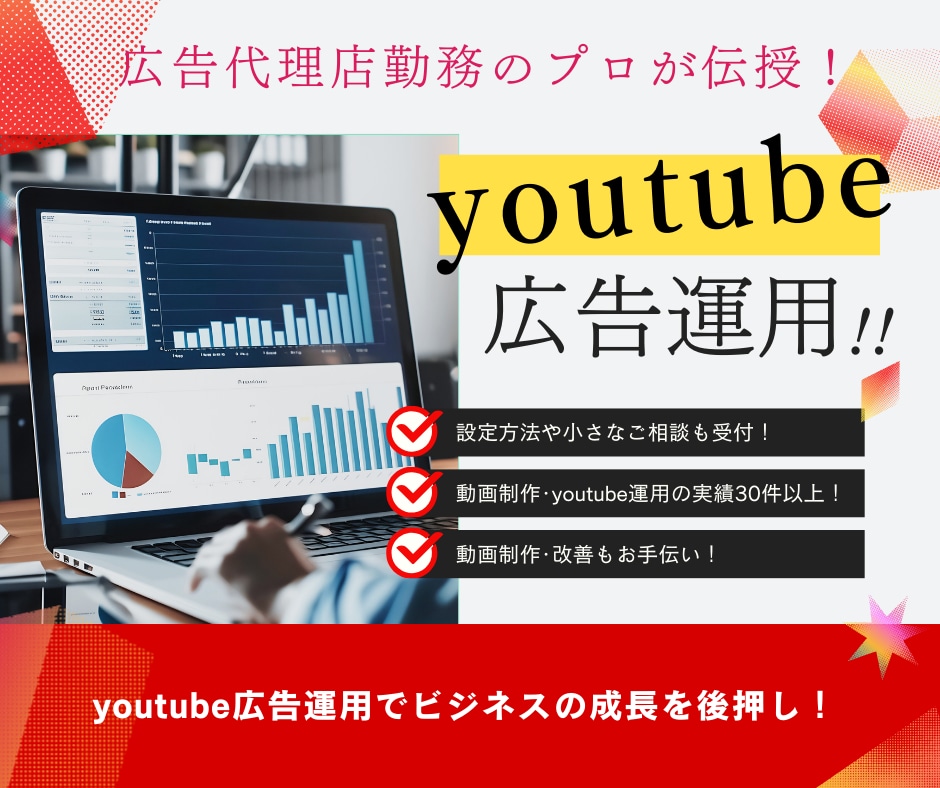 初心者必見！WEB広告のプロが運用します 低予算でも成果実感！YouTube広告でビジネスの成長促進！ イメージ1