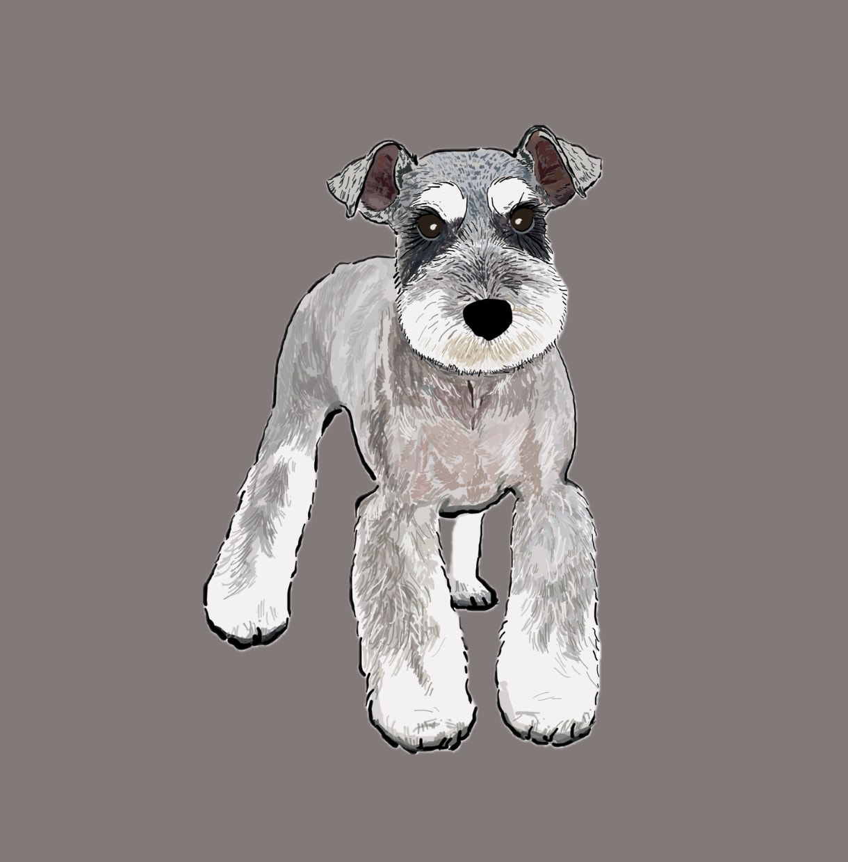 ミニチュアシュナウザーの似顔絵を描きます ミニシュナと暮らす犬絵師が、写真から似顔絵を描きます イメージ5