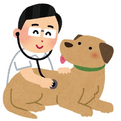 現役獣医師があなたのペットについてアドバイスします 病気、ワクチン、薬、セカンドオピニオンなど相談乗ります！ イメージ1