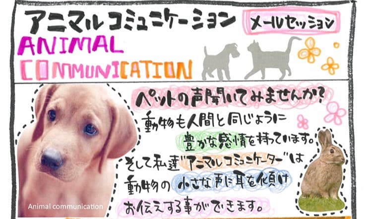 ペットちゃんとお話します ペットの気持ちが知りたいあなたへ イメージ1