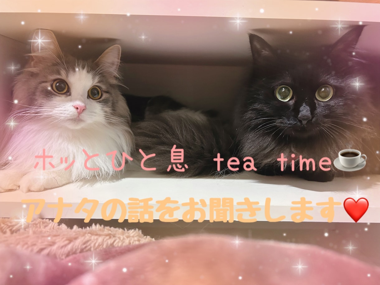 ホッとひと息しませんか？アナタのお話お聞きします 少しだけのお試しでも、友達感覚でも！アナタ中心の話し相手です イメージ1