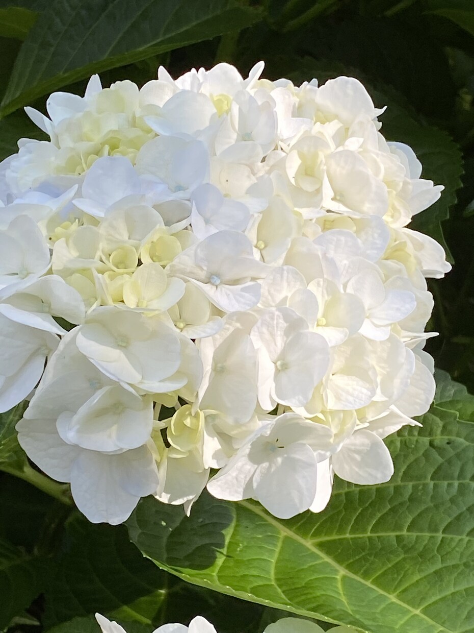 お悩み解決します 病まない生活のはじめ方教えさせてください☺️ イメージ1