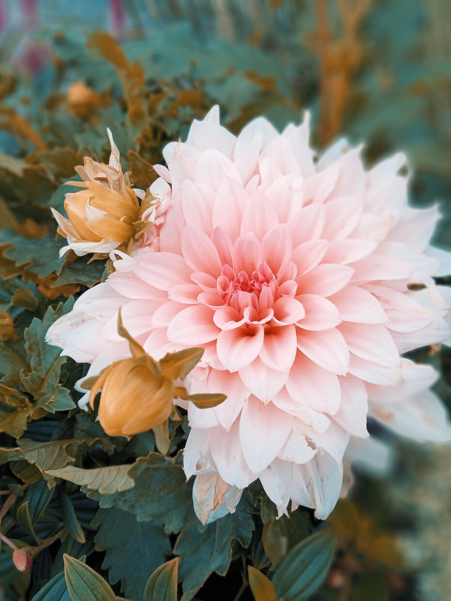 写真素材提供致します 様々なジャンルの写真提供します イメージ3