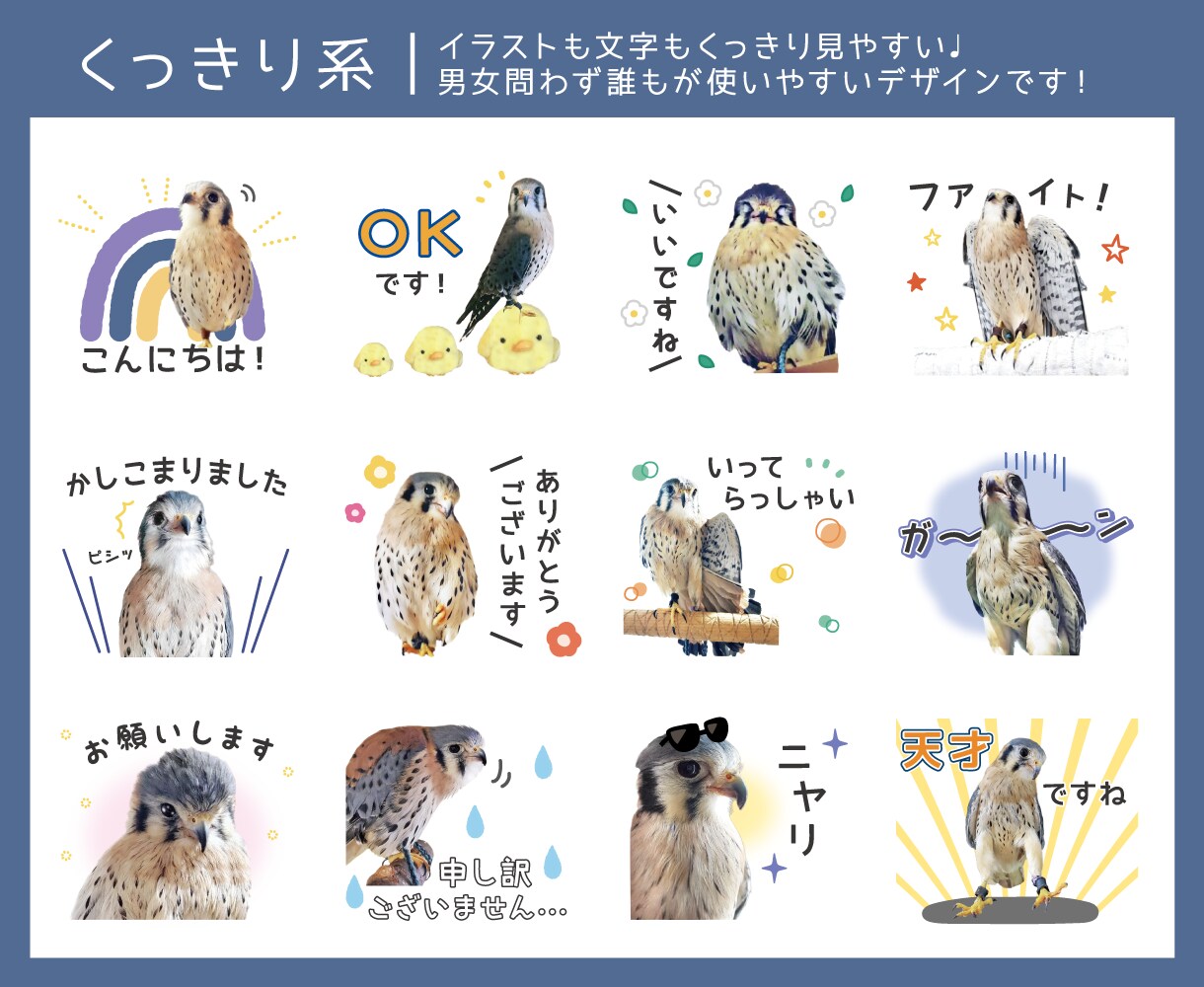 8個〜！写真でLINEスタンプ作成します 大切なペットのお写真を可愛くアレンジしてスタンプにします！ イメージ7